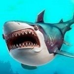 Картинка Hungry Shark Arena